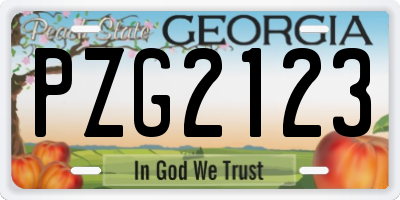 GA license plate PZG2123