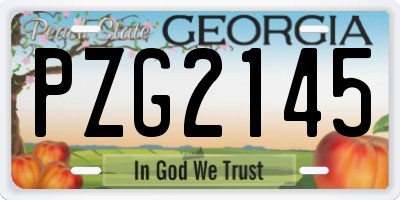 GA license plate PZG2145