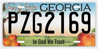 GA license plate PZG2169