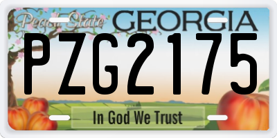 GA license plate PZG2175