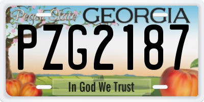 GA license plate PZG2187