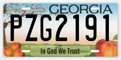 GA license plate PZG2191