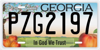GA license plate PZG2197