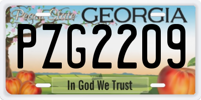 GA license plate PZG2209
