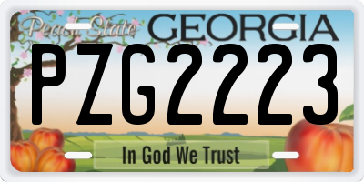 GA license plate PZG2223