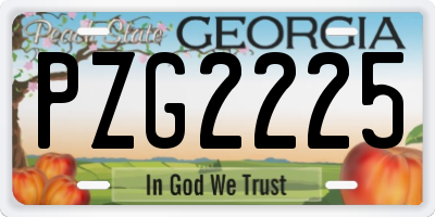 GA license plate PZG2225