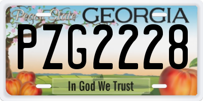 GA license plate PZG2228