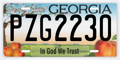 GA license plate PZG2230