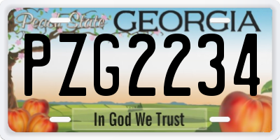 GA license plate PZG2234