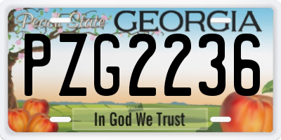 GA license plate PZG2236
