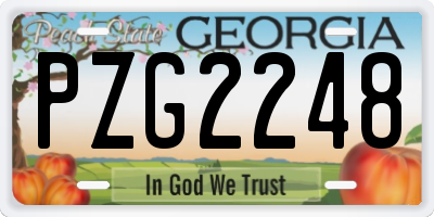 GA license plate PZG2248