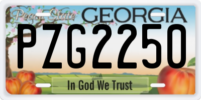 GA license plate PZG2250
