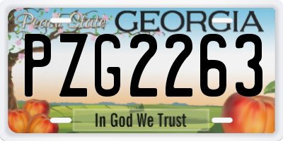 GA license plate PZG2263