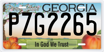 GA license plate PZG2265