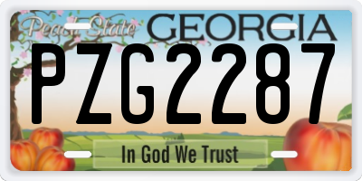 GA license plate PZG2287