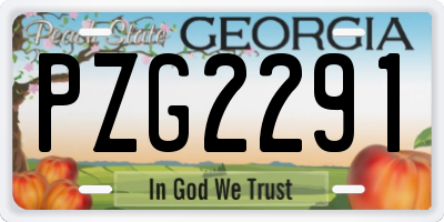 GA license plate PZG2291
