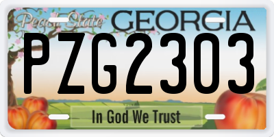 GA license plate PZG2303