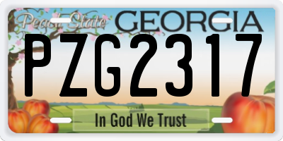 GA license plate PZG2317