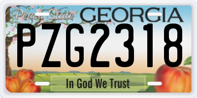 GA license plate PZG2318