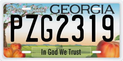 GA license plate PZG2319