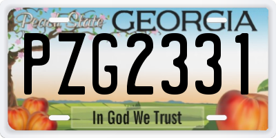 GA license plate PZG2331