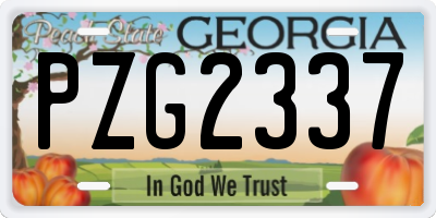 GA license plate PZG2337
