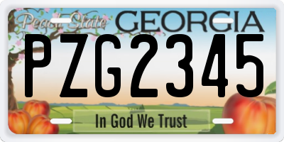 GA license plate PZG2345