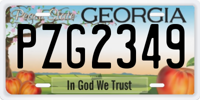 GA license plate PZG2349