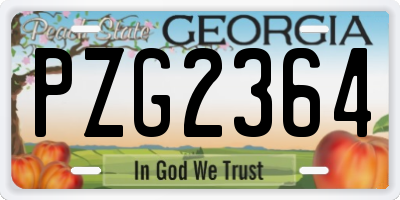 GA license plate PZG2364