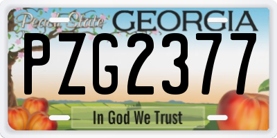 GA license plate PZG2377