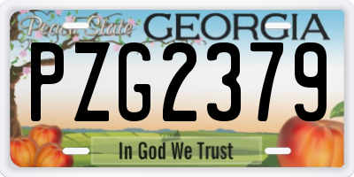 GA license plate PZG2379