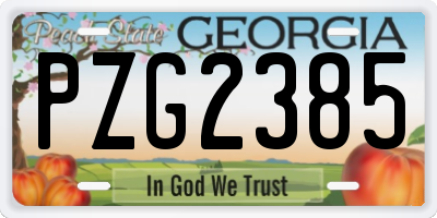 GA license plate PZG2385