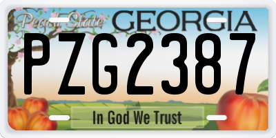 GA license plate PZG2387