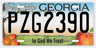 GA license plate PZG2390