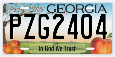 GA license plate PZG2404