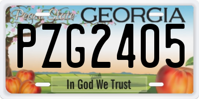 GA license plate PZG2405