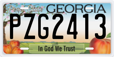 GA license plate PZG2413