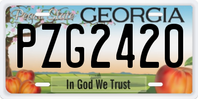 GA license plate PZG2420