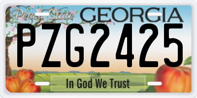 GA license plate PZG2425