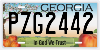 GA license plate PZG2442