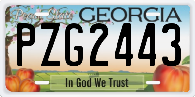 GA license plate PZG2443