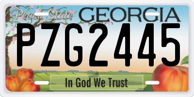 GA license plate PZG2445