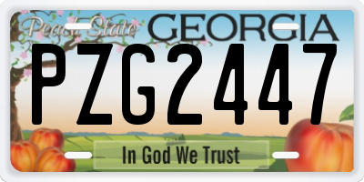 GA license plate PZG2447
