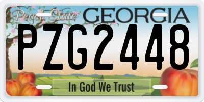 GA license plate PZG2448