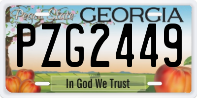 GA license plate PZG2449