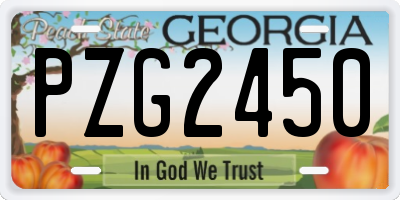 GA license plate PZG2450