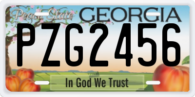 GA license plate PZG2456