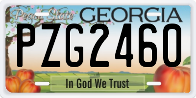 GA license plate PZG2460