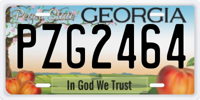 GA license plate PZG2464