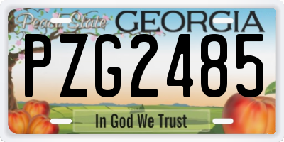 GA license plate PZG2485